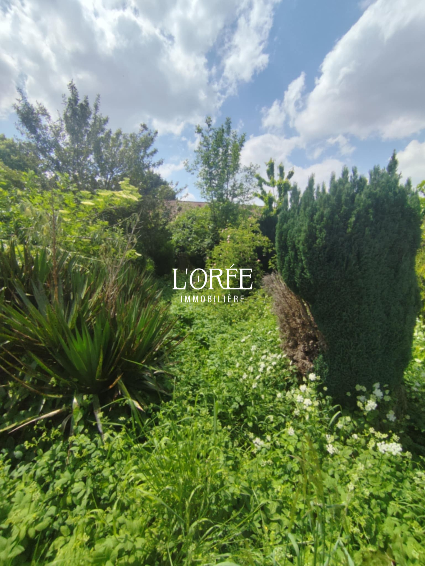 Photo bien immobilier