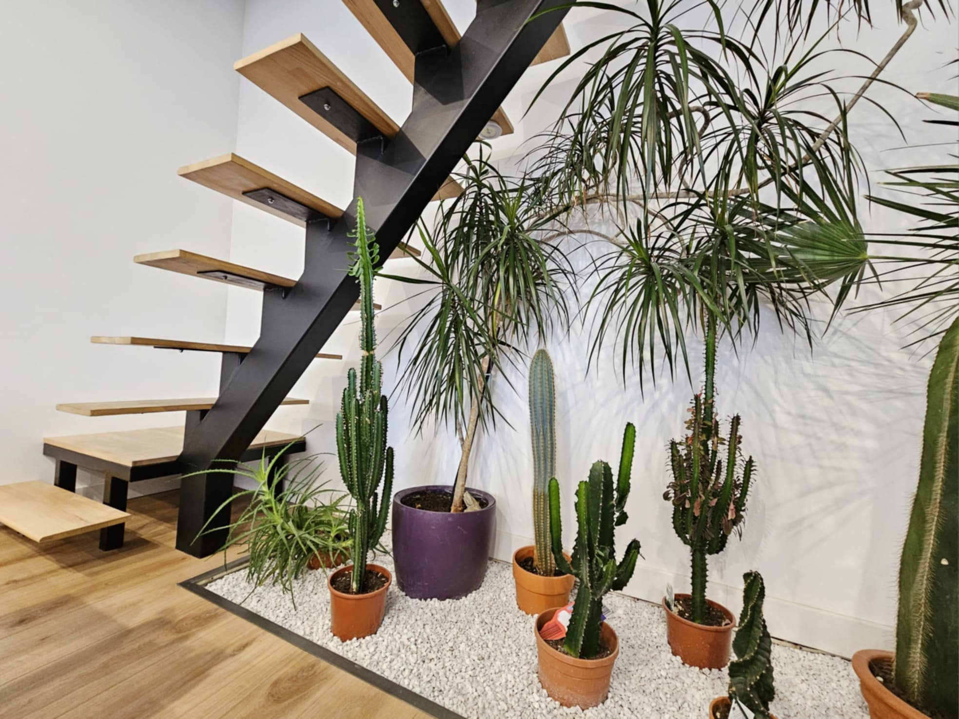 Photo bien immobilier