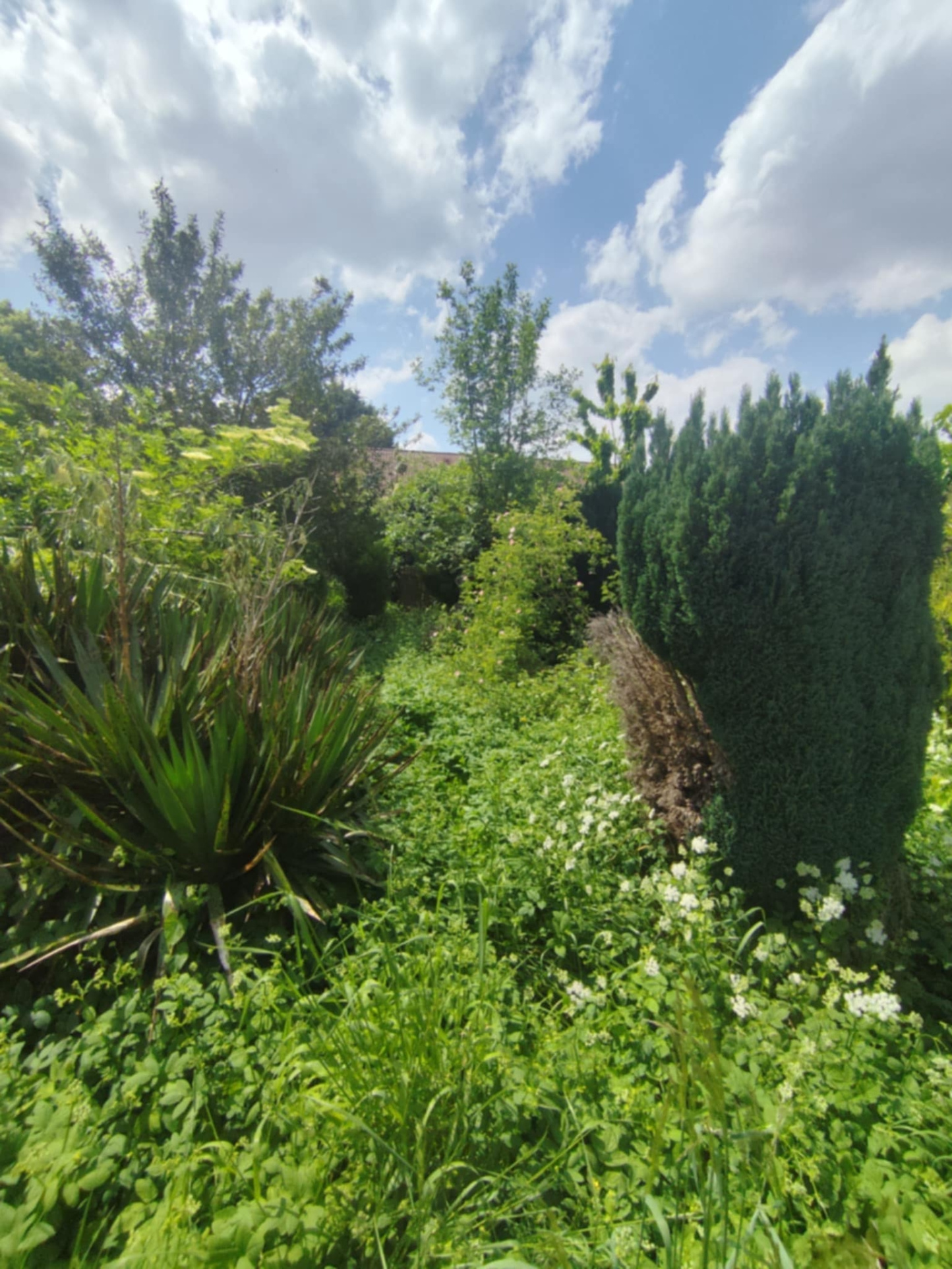 Photo bien immobilier